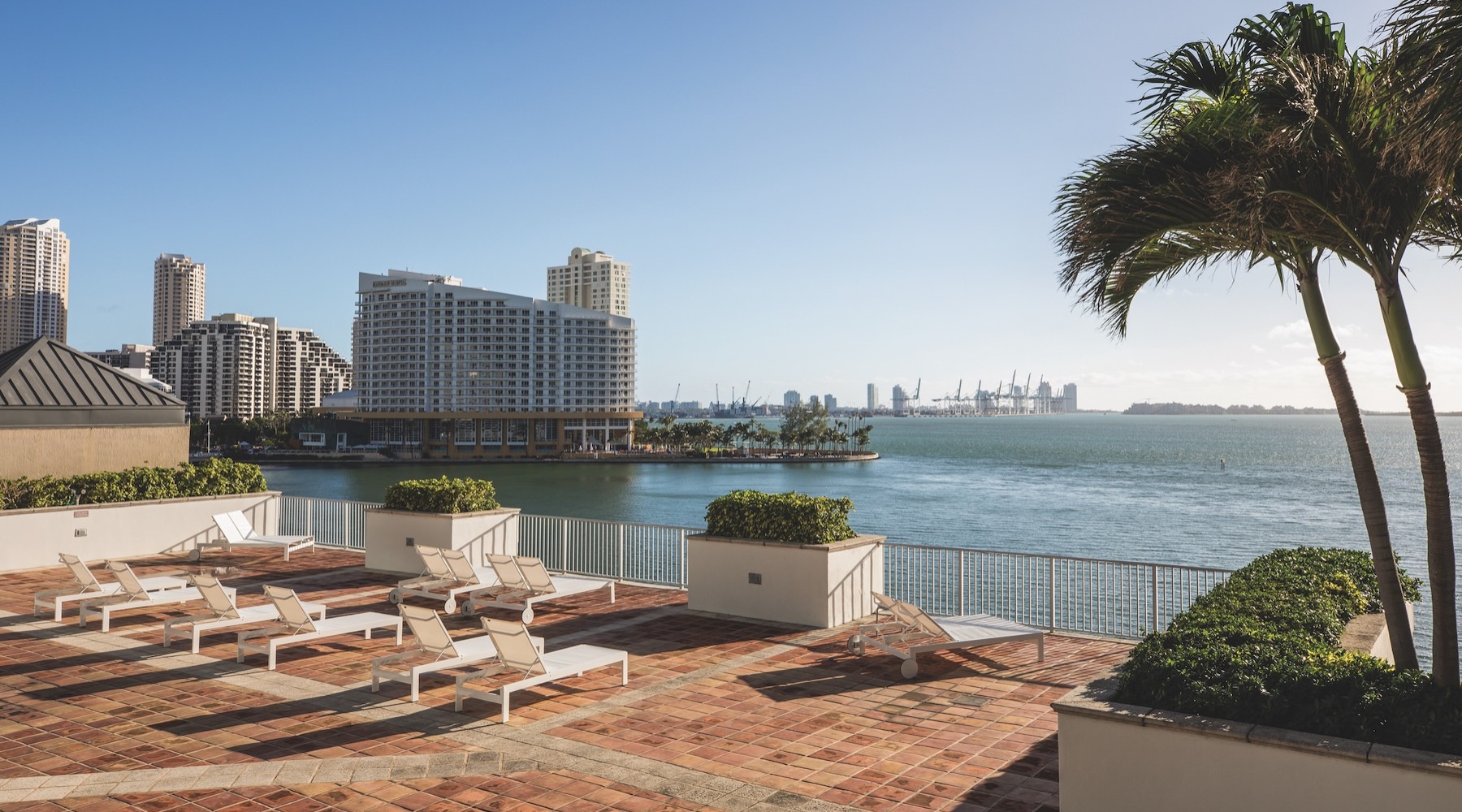 a deck with lounge chairs and a palm tree looking out at water